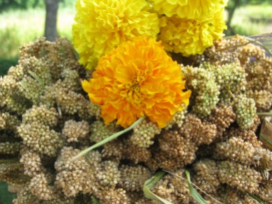 Millet and marigolds